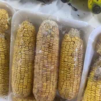 Şahmar Pide Fırını (Kayseri) Kayseri Tavlusun Şahmar