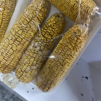 Şahmar Pide Fırını (Kayseri) Kayseri Tavlusun Şahmar