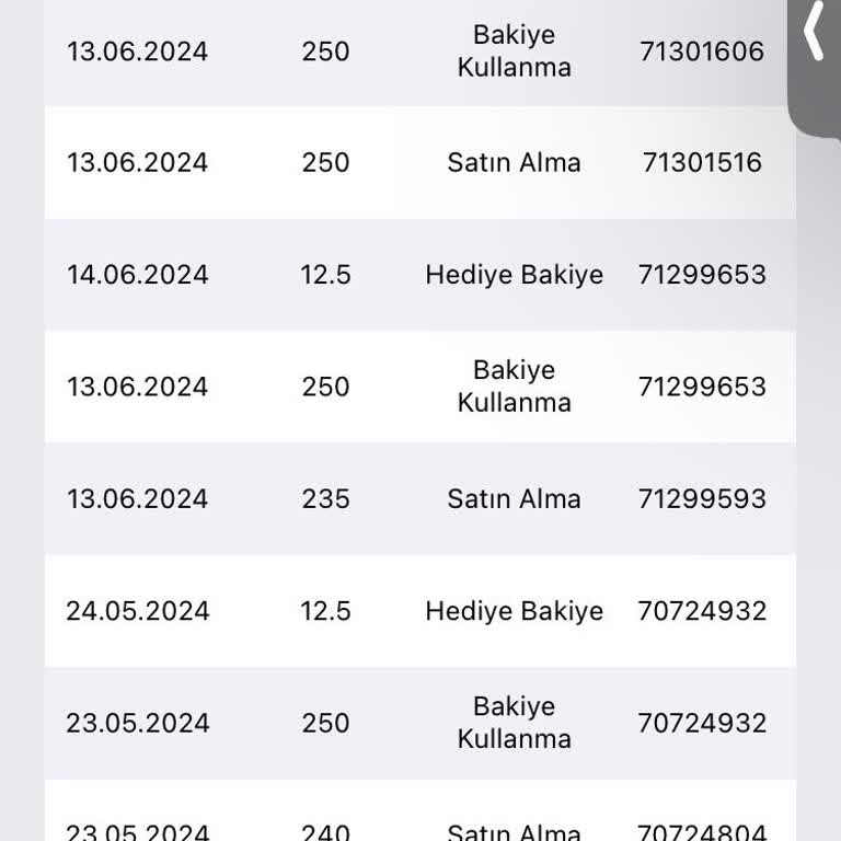 Domino's Para İademi Yapıp Şikayetimi Çözmüyor