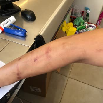 Kolay Home Kolay Güzellik Merkezi Giresun/Bulancak Şubesi