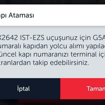THY Check-in Sorunu Nedeni İle Maddi Manevi Mağduriyet