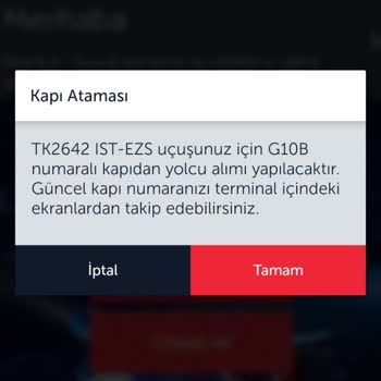 THY Check-in Sorunu Nedeni İle Maddi Manevi Mağduriyet