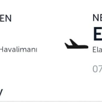 THY Check-in Sorunu Nedeni İle Maddi Manevi Mağduriyet