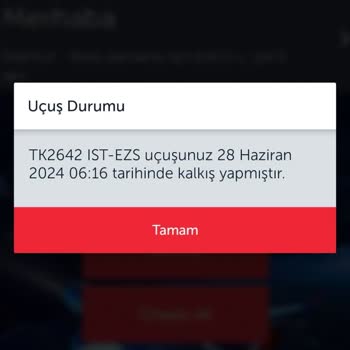 THY Check-in Sorunu Nedeni İle Maddi Manevi Mağduriyet