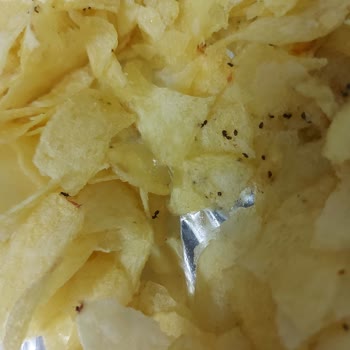 Pepsi Lays Cips Paketinden Karıncalar Çıktı