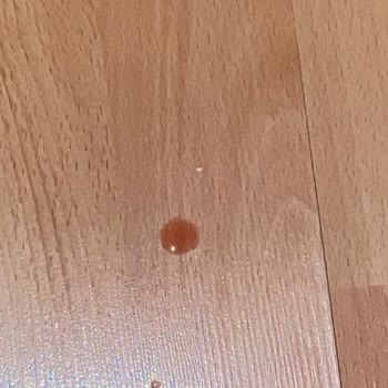 Kartal Lacivert Veteriner Kliniği Çok Kötü!