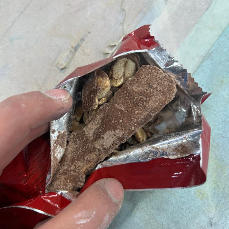 Bozulmuş Eti Canga Ürünü Ve Sağlık Sorunları