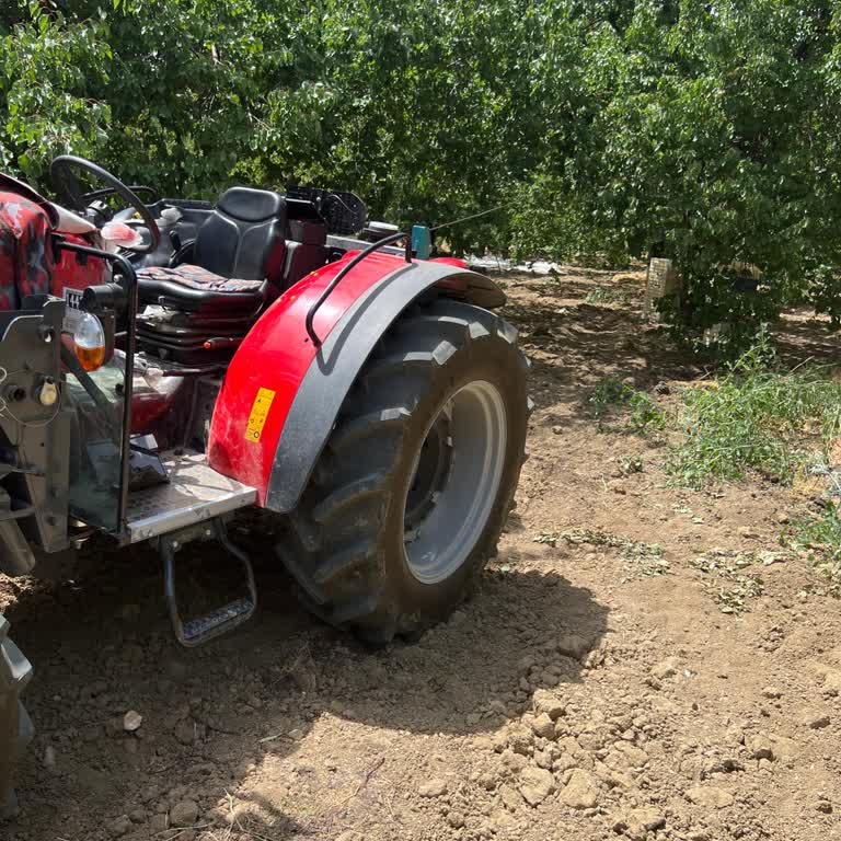 Massey Ferguson Altın Nasıl Pula Çevrilir?