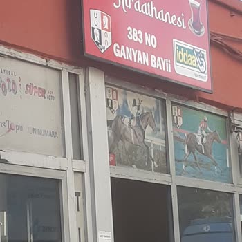 Şikayet İddaa Kupon Ödemesi