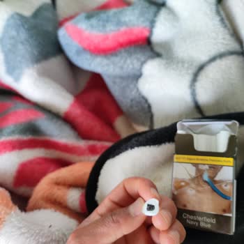 Chesterfield Boş Sigara