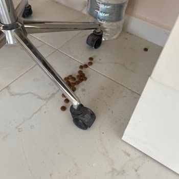 Özgül Temizlik (Kocaeli) Eksik Temizlik Ve İletişimsizlikten İbaret Bir Firma.