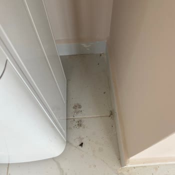 Özgül Temizlik (Kocaeli) Eksik Temizlik Ve İletişimsizlikten İbaret Bir Firma.