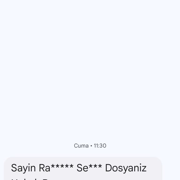 Hukukdosyasi.com T. S***** Adına Borç Bilgisi
