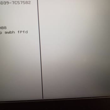 HP Victus Ekrandaki Noktanın Parlaması