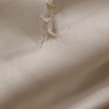 Ejder Turizm Japonya Turu Hakkında;