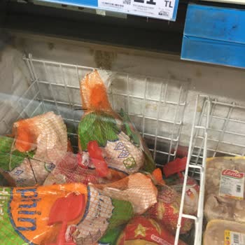 A101 Mağazası Pislik İçinde, İlgilenen Kimse Yok! Muhatap Bulamıyoruz