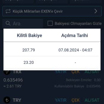 Bitexen İstemediğim Kilit Problemini Çözmüyor