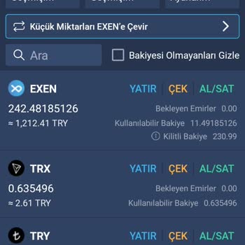 Bitexen İstemediğim Kilit Problemini Çözmüyor