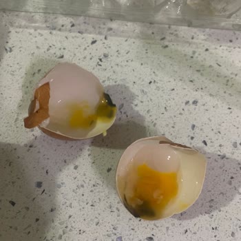 Sade Organik Ürünler Sade Organik Yumurta Bozuk Ürün Satılması Ve Toplatılmaması