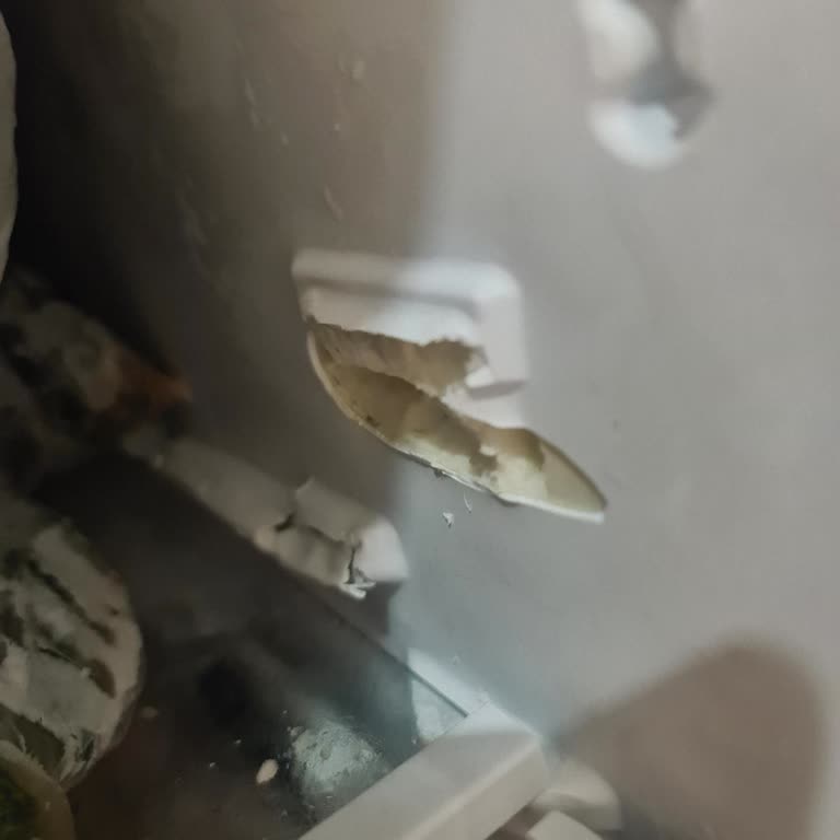 Arçelik Dondurucu Gövde Kirik