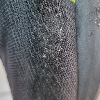 Asics Ayakkabının Kalitesizlik Ve Dayanıksızlığı...