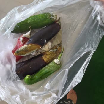 Arçelik Buzdolabı Sorunu Ve Çözüm Bulamama