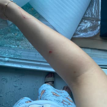 Modalife Camlı Masa Pişmanlıktır!