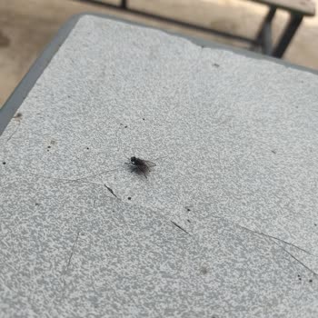 Kırıkkale Belediyesi Acil İlgilenmeniz Gerekiyor