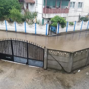 Başiskele Belediyesi Hizmet Ve Altyapı Sorunu