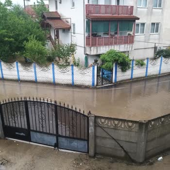 Başiskele Belediyesi Hizmet Ve Altyapı Sorunu