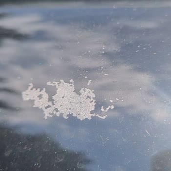 2023 Citroen C3 Aircross Tavan Boyası Atma Sorunu