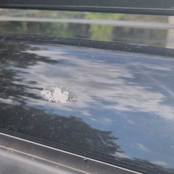 2023 Citroen C3 Aircross Tavan Boyası Atma Sorunu