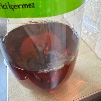 Fuse Tea İçeceklerinde Beyaz Yosunumsu Maddeler Çıkıyor.