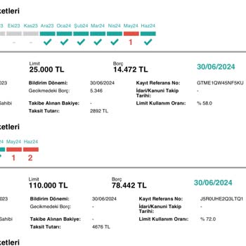 Findeks Gecikme Tutarının Silinmemesi