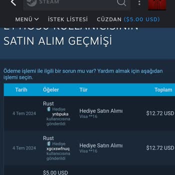 Steam Bilgim Dışı Harcama