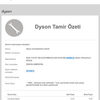 Dyson Pişmanlığı İle Çözümsüzlüğü