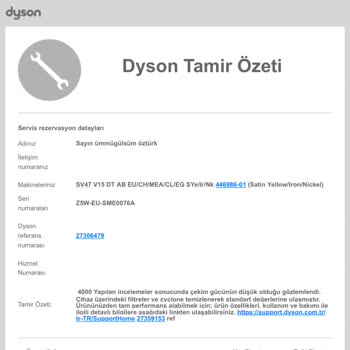 Dyson Pişmanlığı İle Çözümsüzlüğü