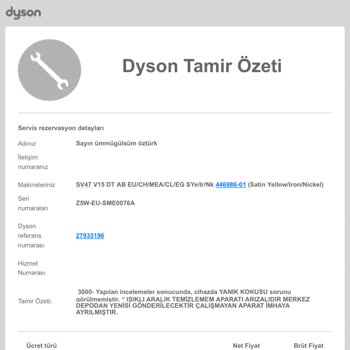 Dyson Pişmanlığı İle Çözümsüzlüğü