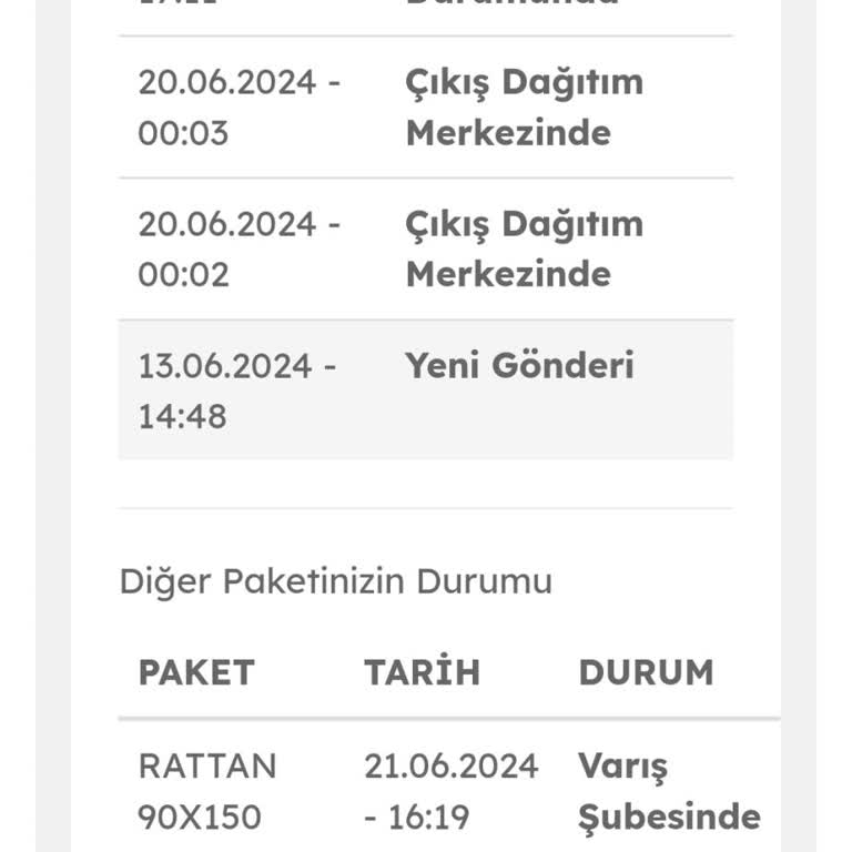 Evdemo Lojistik Ürünleri Ne Zaman Getirecek