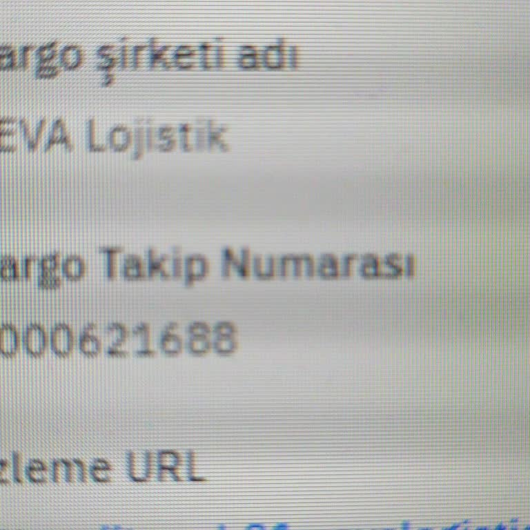 Ceva Firması Kargomu Kaybetti!