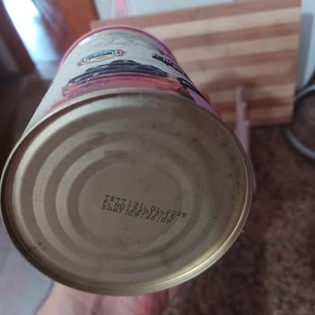 BİM İnci Gıda 800gr Az Tuzlu Siyah Zeytin, Kelebek Benzeri Bir Böcek Çıktı!