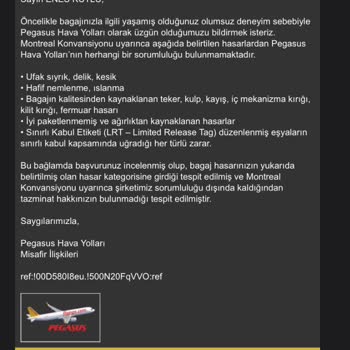 Pegasus Havayolları Valizlerimize Sahip Çıkamadı