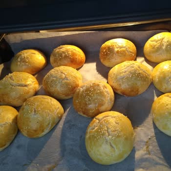 Beko Ankastre Fırın Sorunu (bfc 631)