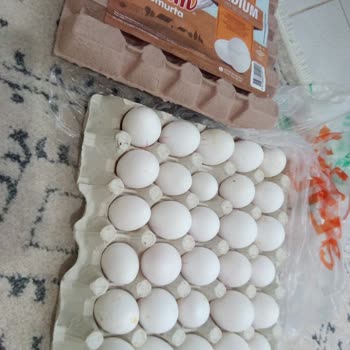 Türem Yumurta İnsanları Aldatıyor. M Boy Koliden Çıkan Yumurtalara Bak