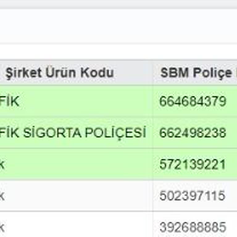 Anadolu Sigorta Mobil Uygulama Pişmanlık