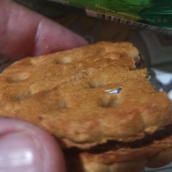 Ülker Probis Bisküvinin İçinden Yabancı Madde Çıktı