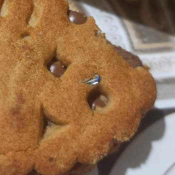 Ülker Probis Bisküvinin İçinden Yabancı Madde Çıktı