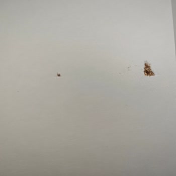 Kırık Ve Deforme Pratico