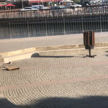D-Marin Turgutreis Marina'da Temizlik Sorunu