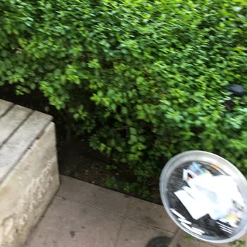 D-Marin Turgutreis Marina'da Temizlik Sorunu